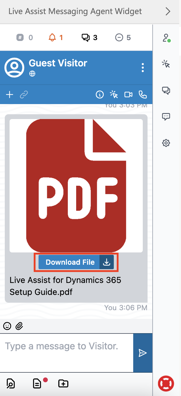 View of the file in the agent widget, as shown on the agent side