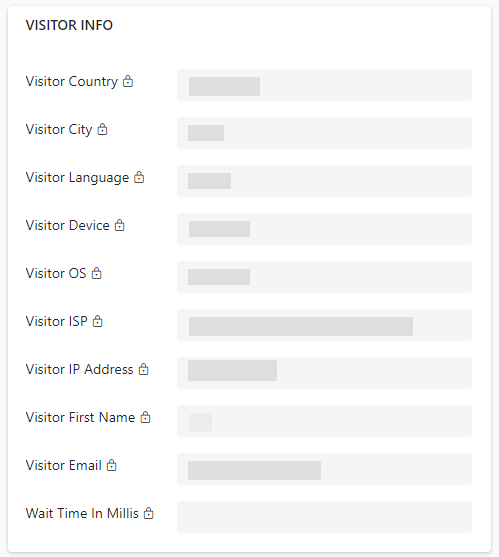 The Visitor Info section of the Conversation Activity in Dynamics 365