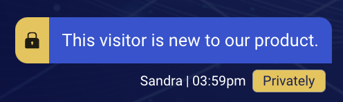 A message as it appears in the conversation transcript. A padlock icon appears to the left of the message text, and a label that says Privately appears next to the senders name.