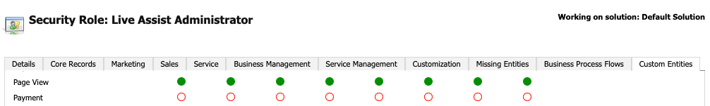 On the Custom Entities tab, all 8 possible permission types are set for the Page View entity.
