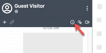 An annotated arrow in the infographic points to the info icon inside the visitor information section of the agent widget