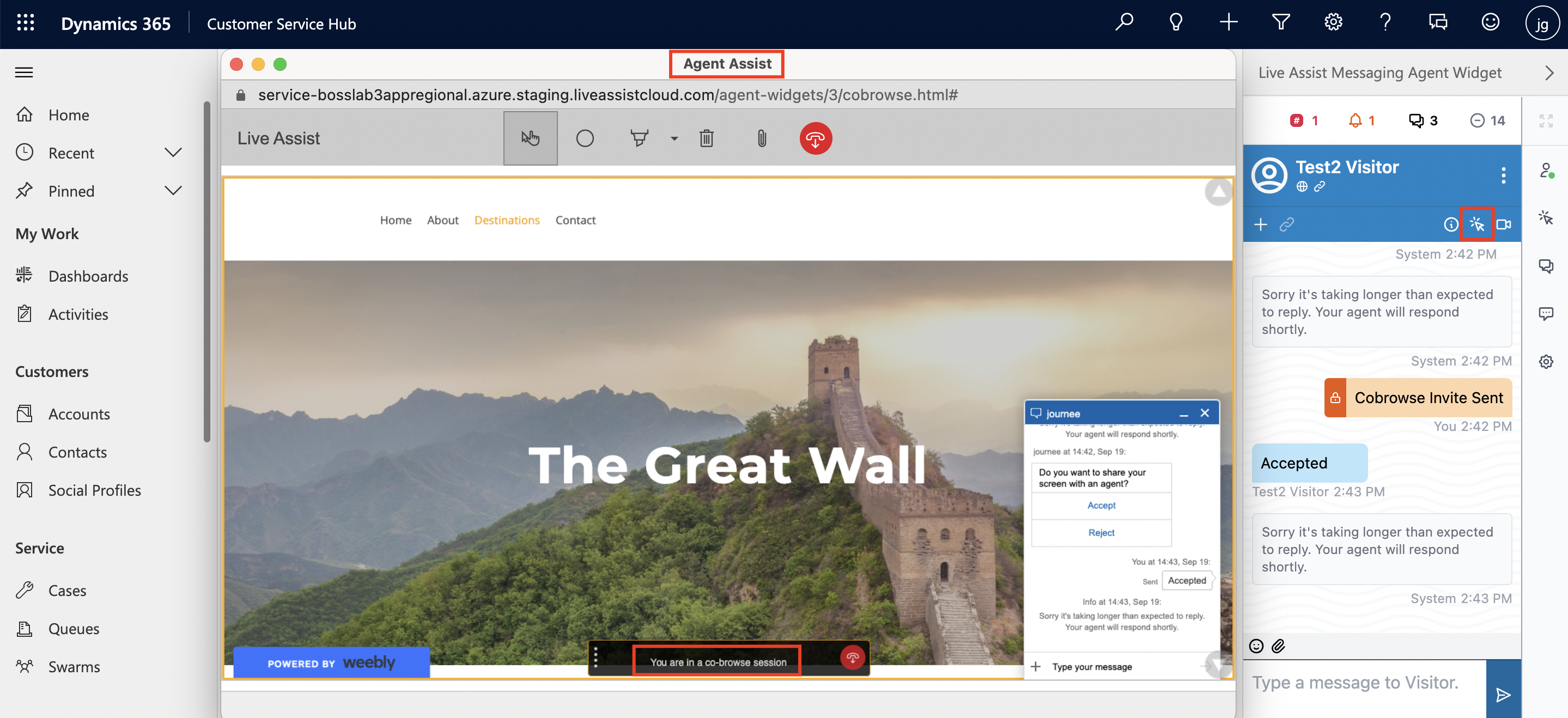 The Co-browse feature of LAD365.